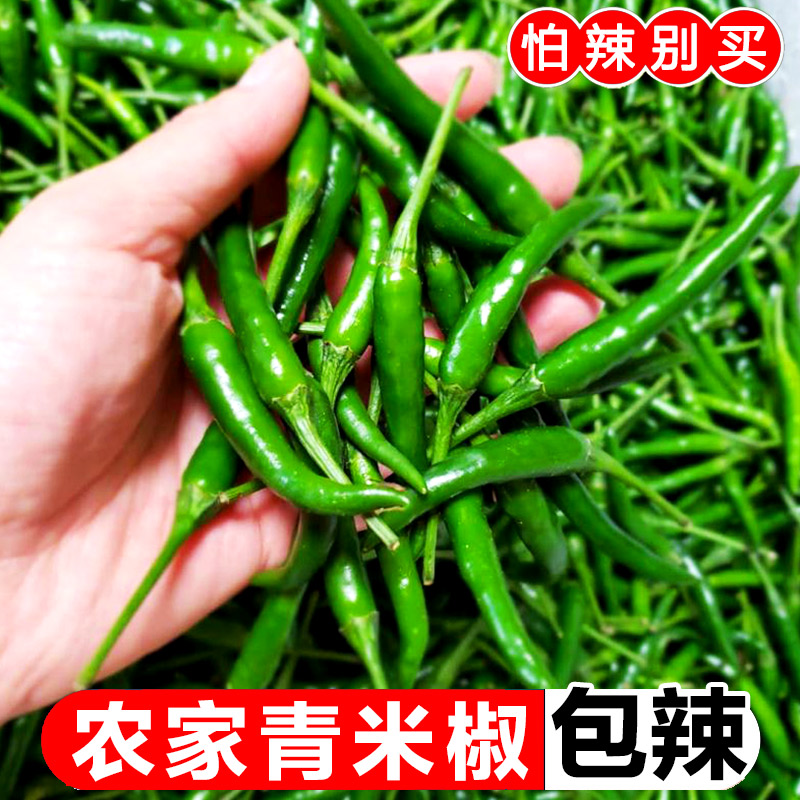新鲜青米椒山东青辣椒特辣小米辣朝天椒泡椒剁椒尖椒现摘当季包邮