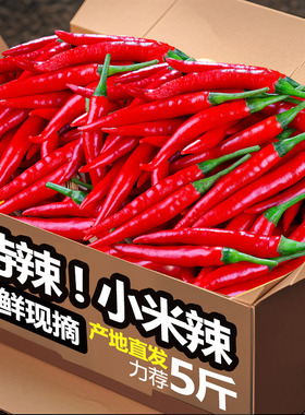 小米辣椒新鲜小米椒小米辣红辣椒特辣朝天椒尖椒蔬菜非七彩椒