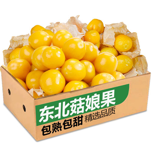 东北姑娘果精选新鲜水果甜灯笼果当季整箱黄菇娘果大菇凉果黄皮果