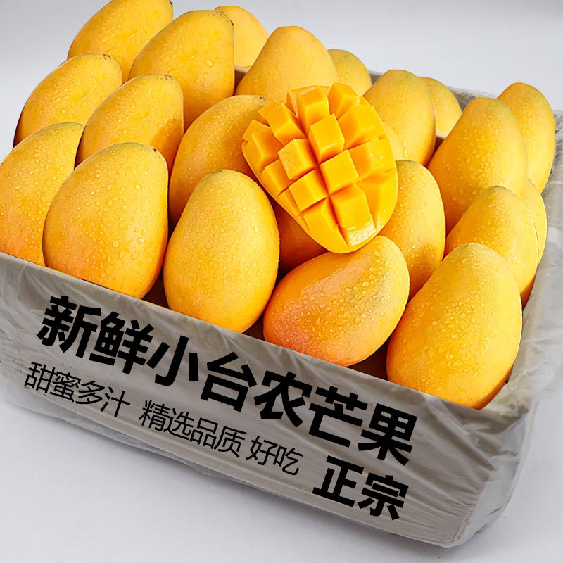 新鲜小台农芒果新鲜水果当季整箱时令应季热带三亚特产大果甜芒果