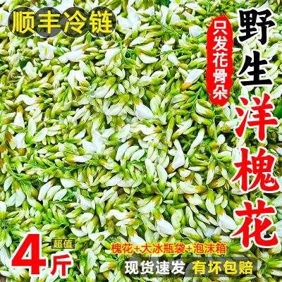 力荐4斤！槐花新鲜秦岭天然野生