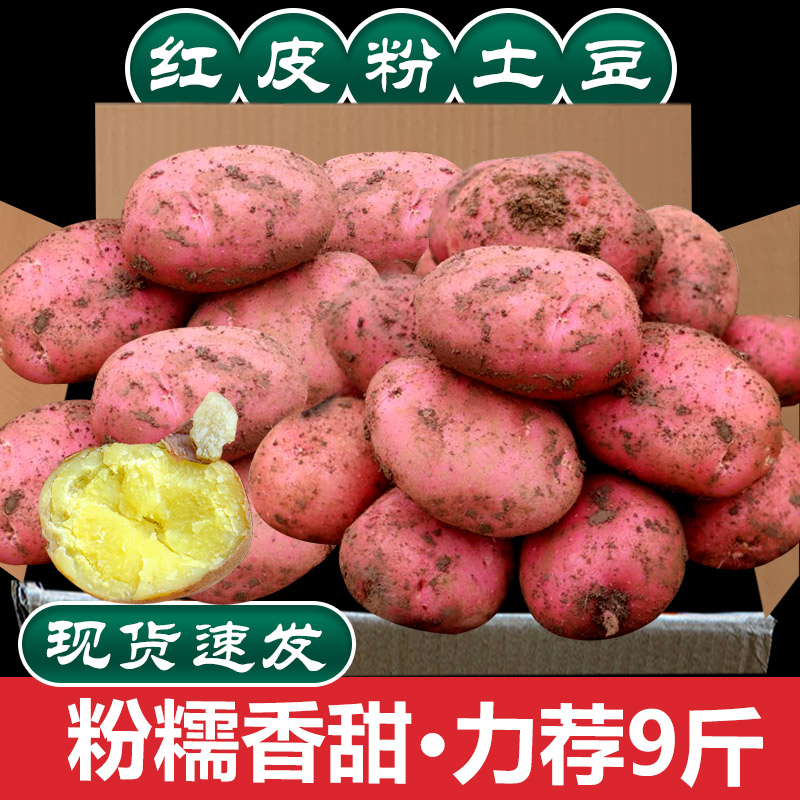 云南红皮黄心小土豆9斤农家自种高山马铃薯新鲜蔬菜洋芋批发包邮