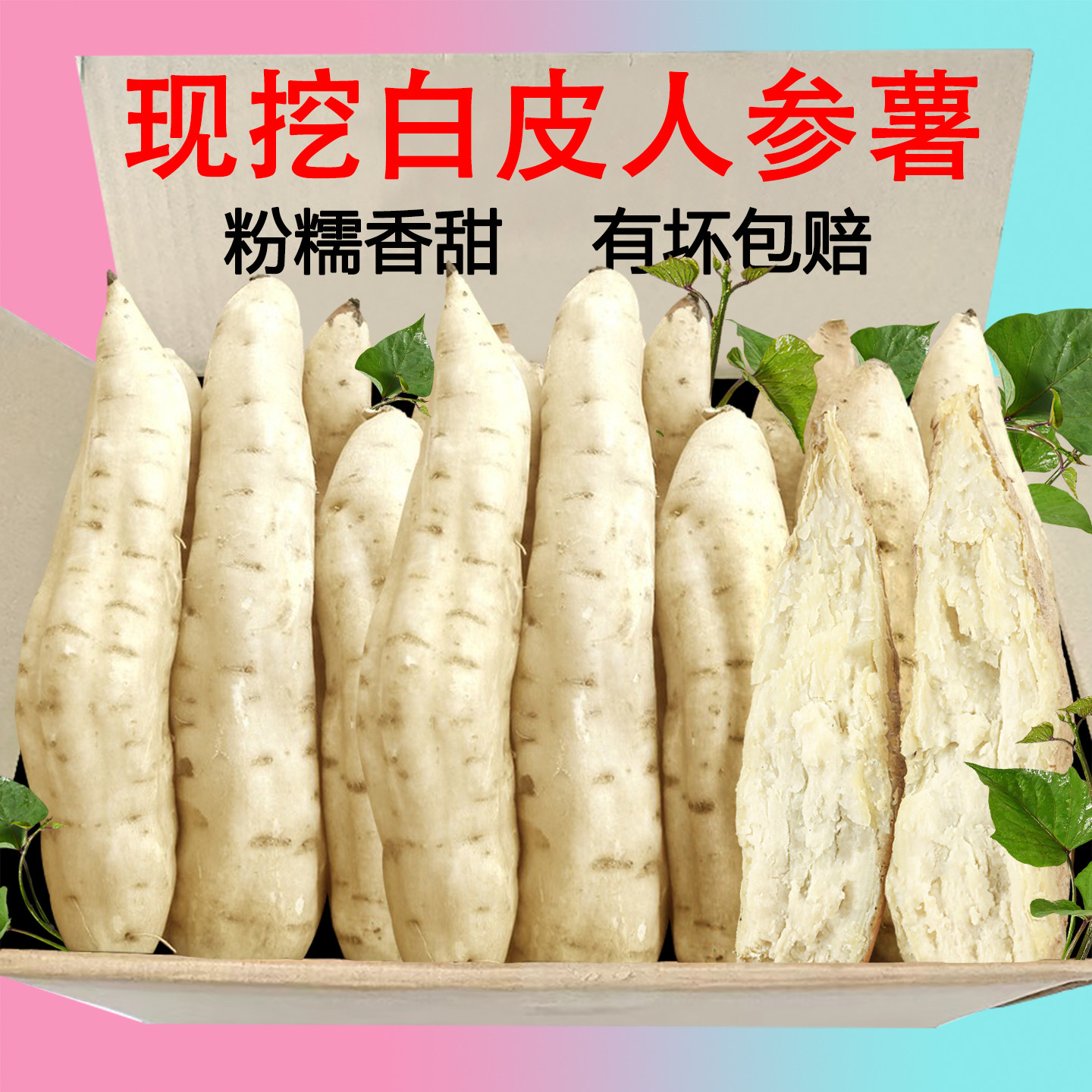 白皮人参薯板栗薯白心人参桥头新鲜番薯小香薯红苕地瓜现挖包邮