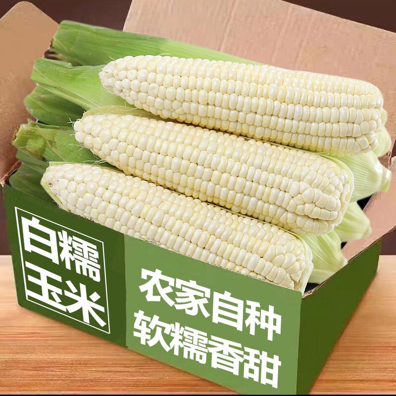 【天猫精选】新鲜现摘白糯玉米