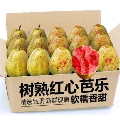 吃一口就忘不！了树上熟红心芭乐