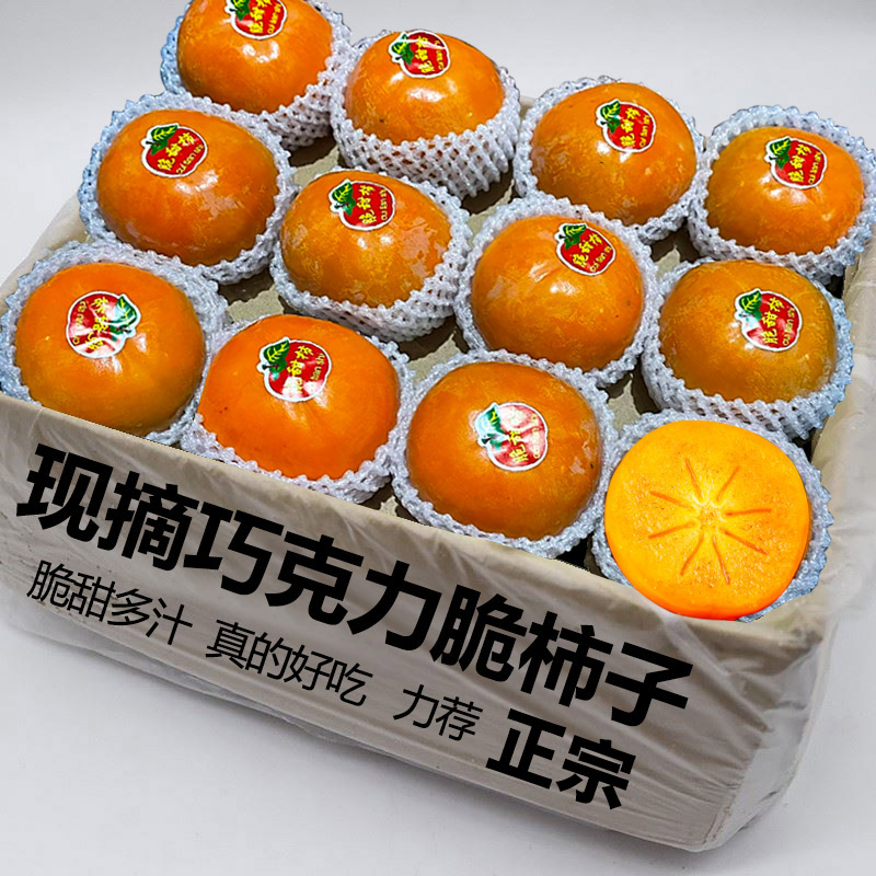 脆甜即食巧克力柿子9斤!