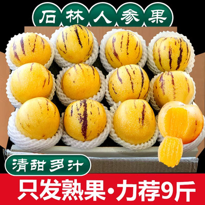 石林人参果新鲜9斤云南人叁果圆果人生果娃娃果七彩黄肉水果包邮