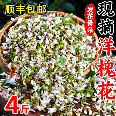 力荐4斤！洋槐花新鲜秦岭天然