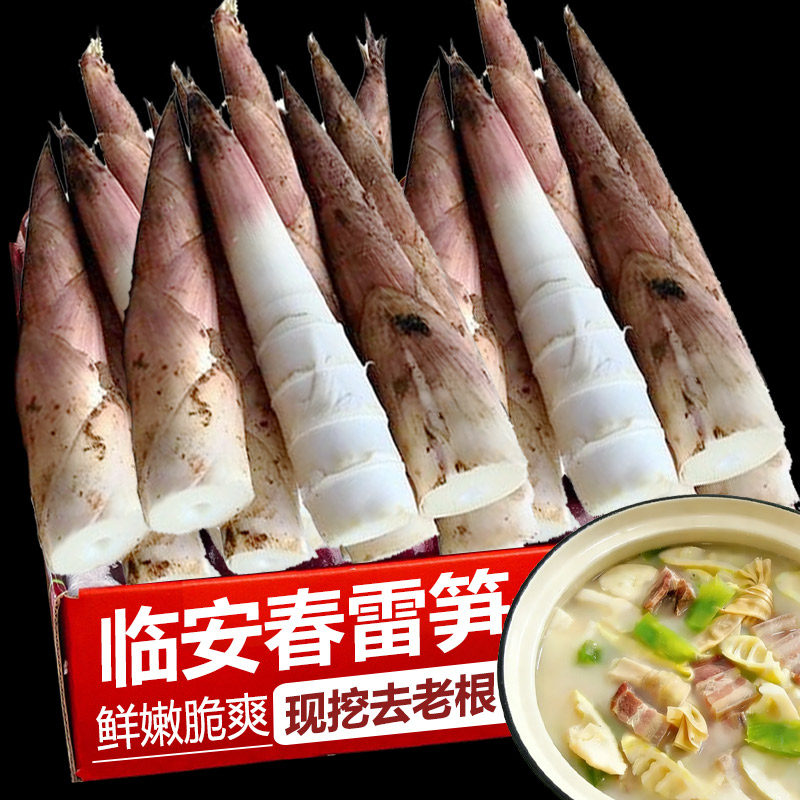 临安春笋新鲜现挖竹笋正宗浙江冬笋蔬菜脆嫩天目山整箱春雷笋包邮