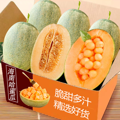正宗海南哈密瓜新鲜水果当季脆甜网纹瓜西州蜜香瓜老汉瓜整箱