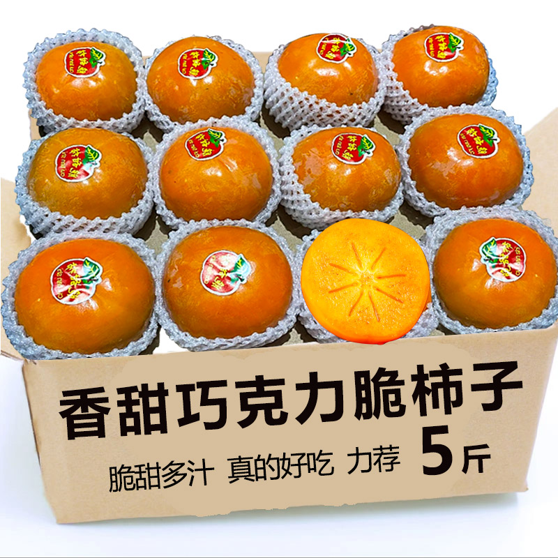 巧克力脆柿子现摘新鲜水果当季整箱应季脆甜硬红火晶大软包邮