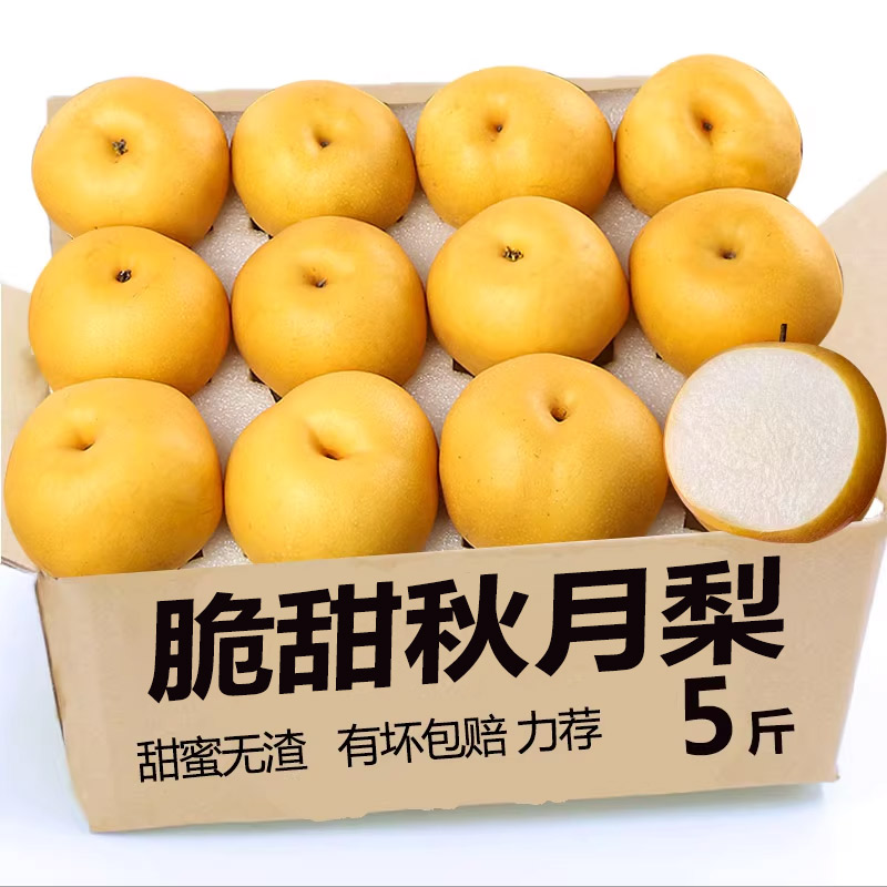 新鲜秋月梨12颗4-5斤新鲜水果冰糖雪梨蜜梨当季现摘整箱脆甜多汁