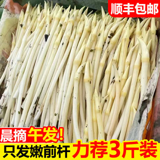 洞庭藕带新鲜藕尖洪湖特产现挖莲藕尖藕肠子藕苫蔬菜鲜藕带尖顺丰