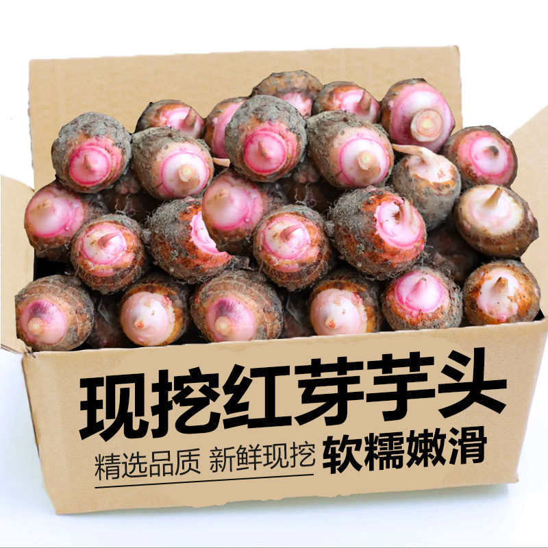自种红芽芋头芋艿小芋仔毛芋小香芋牛奶芋仔农家蔬菜早餐粉糯香甜