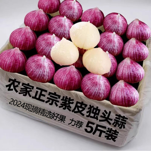 紫皮独头蒜，蒜香浓郁！！