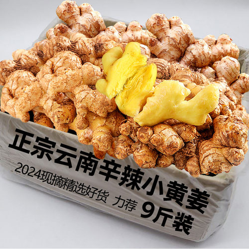 正宗小黄姜新鲜现挖农家新鲜生姜沙姜干姜老姜土姜整箱罗平月子姜