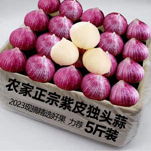 云南紫皮独头蒜新鲜辣干蒜头瓣蒜非东北现挖5斤整箱湿蒜红皮大蒜3
