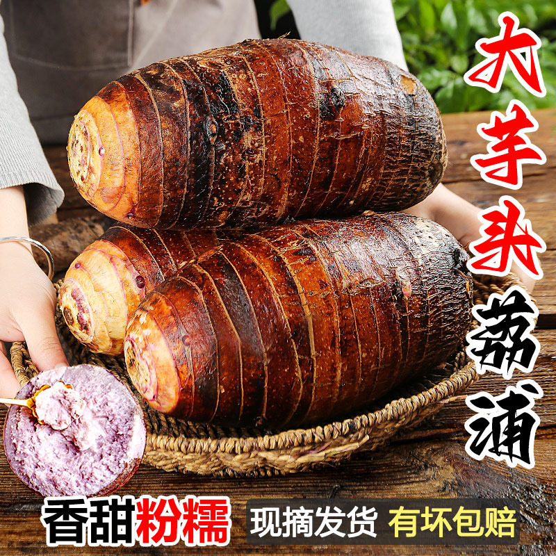 广西荔浦新鲜大芋头9斤农家特产紫藤毛芋头香芋槟榔芋蔬菜包邮10