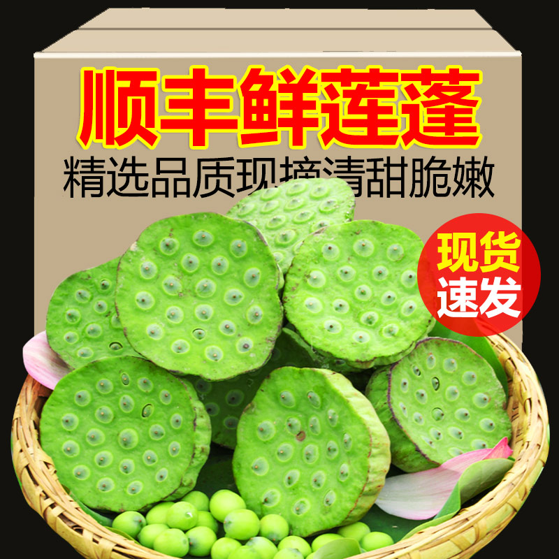 新鲜莲蓬现摘发货顺丰包邮