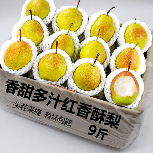 红香酥梨新鲜水果当季整箱香梨青应特产酥梨雪梨包邮梨子香甜9斤
