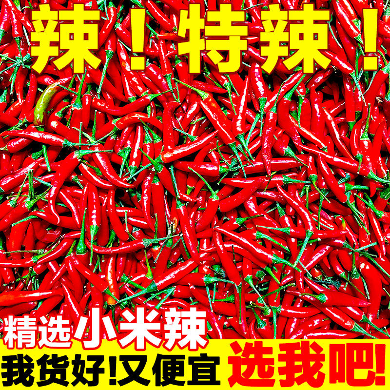 小米辣椒新鲜5斤特辣小米椒朝天椒超辣薄皮土红辣椒指天椒尖椒10怎么看?
