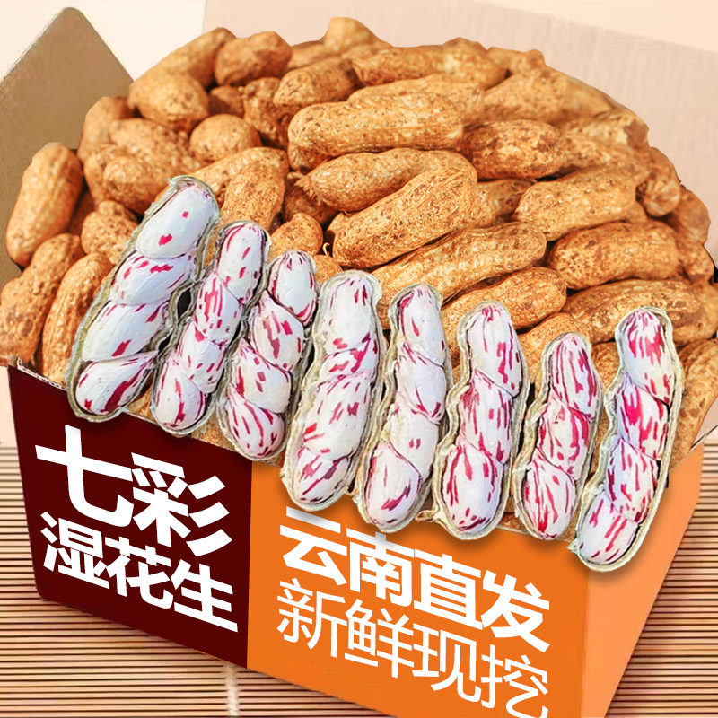 云南七彩花生新鲜现挖带壳新货香甜原味整箱水果湿花生可水煮包邮