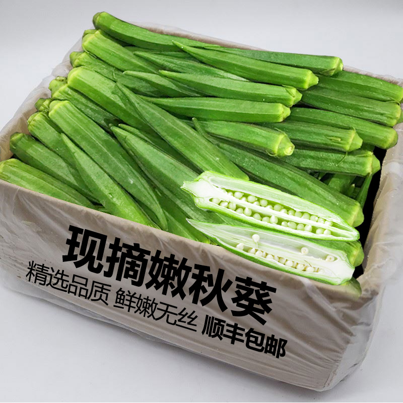 顺丰包邮新鲜农家嫩秋葵