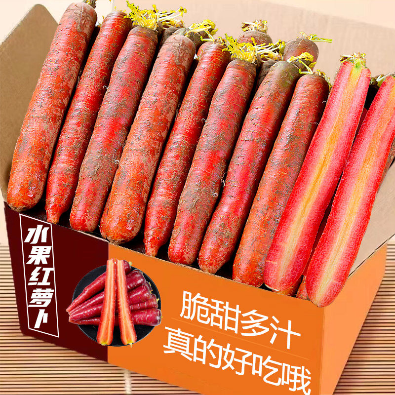 胡萝卜5斤现挖带泥产地直供新鲜蔬菜即食农家自种应季水果胡萝卜