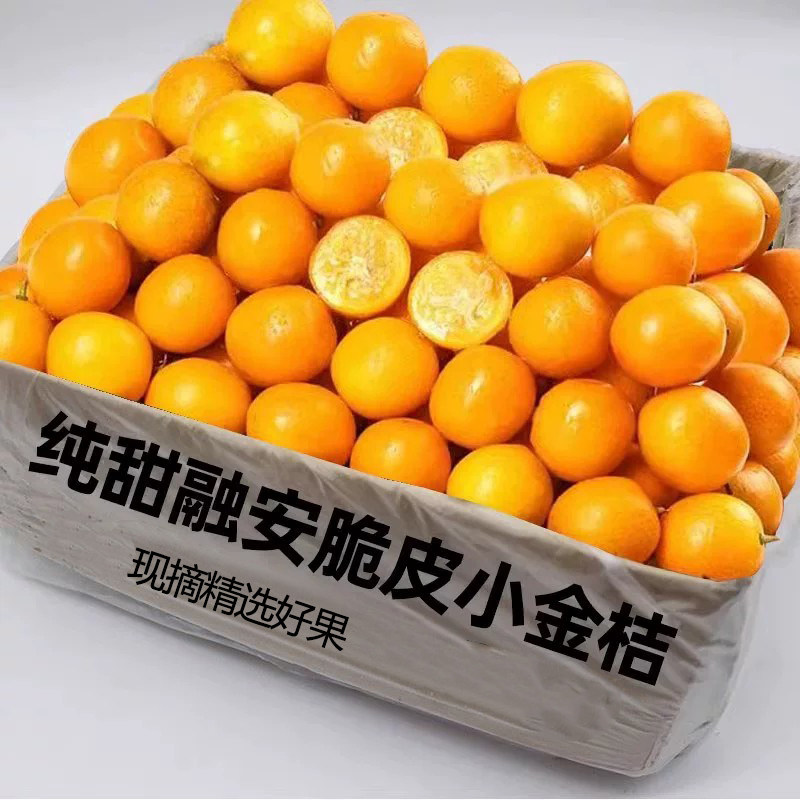 广西脆皮金桔5斤桔子应当季现摘新鲜水果金柑孕妇整箱包邮脆皮
