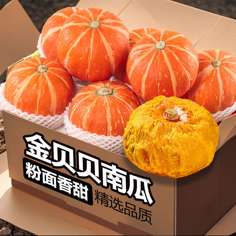 正宗金贝贝小南瓜板栗味南瓜蒸煮粉面香甜整箱精选新鲜婴儿辅食