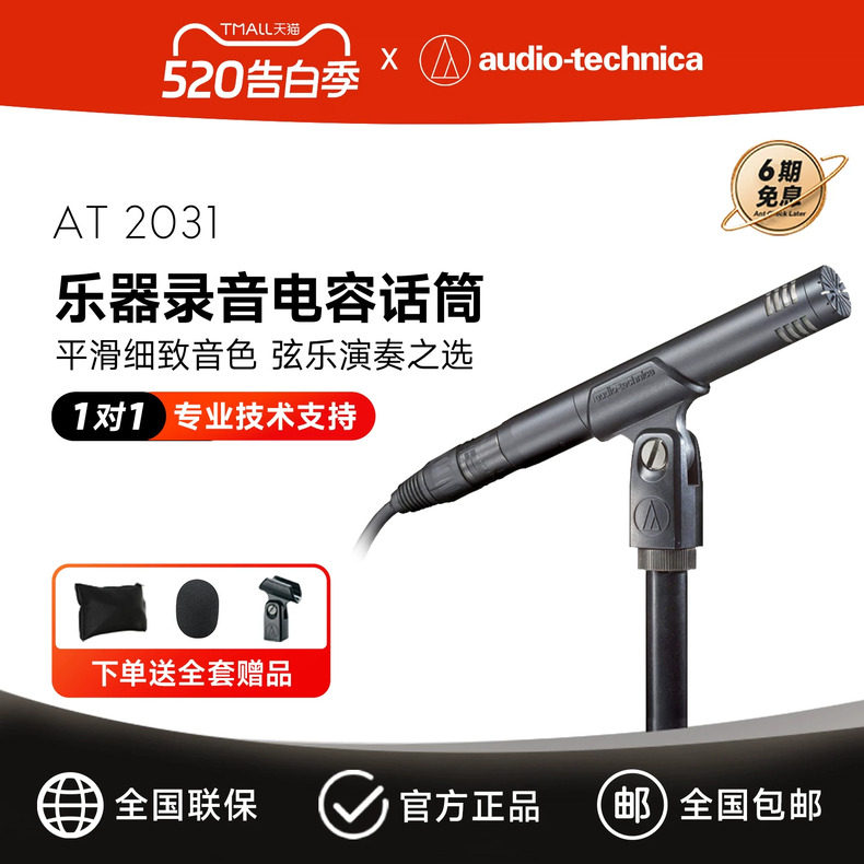 铁三角AT2031钢琴提琴吉他人声专业乐器录音话筒小振膜电容麦克