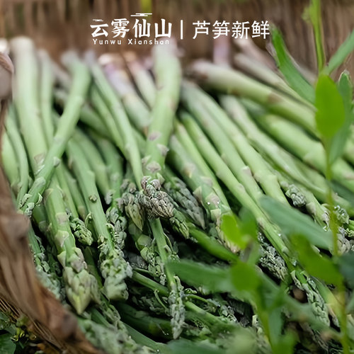 云雾仙山恩阳绿芦笋新鲜精品