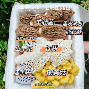 2026新鲜菌菇组合1kg 羊肚菌竹荪七彩炖汤包蘑菇养生菌子火锅食材