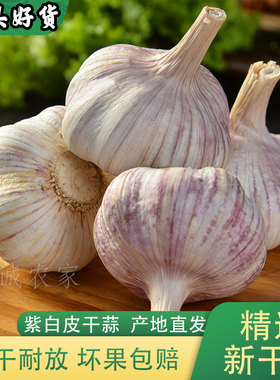 【2025新干蒜 老品种香蒜】农家大蒜头5斤紫白皮新鲜1斤9斤批发价