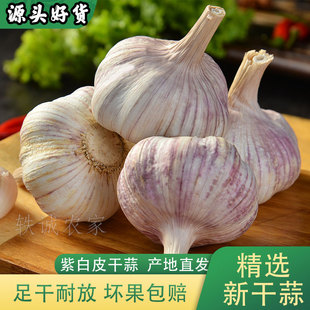 农家大蒜头5斤紫白皮新鲜1斤9斤批发价 老品种香蒜 2025新干蒜