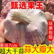 5斤 果王7cm 9斤河南特产大蒜头干蒜农家大蒜蒜头种籽紫皮白皮