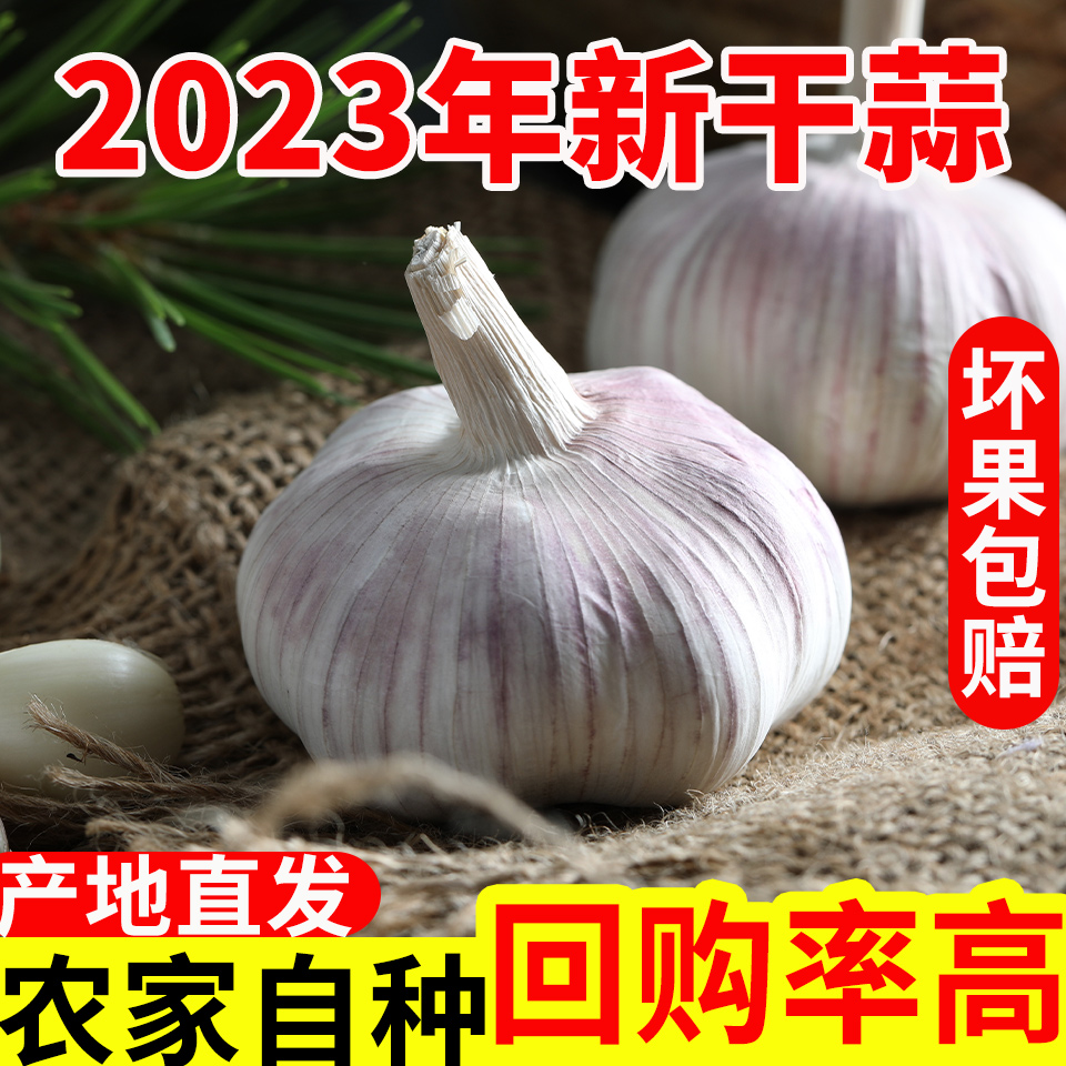 【便宜了】2023年新鲜新晒大蒜头干蒜5斤装农家自种蒜头1斤2斤3斤 水产肉类/新鲜蔬果/熟食 大蒜 原图主图