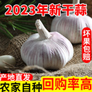 农家自种蒜头1斤2斤3斤 2023年新鲜新晒大蒜头干蒜5斤装 便宜了