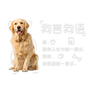 定制宠物店门面玻璃贴画可爱动物宠物医院诊所橱窗防水防晒墙贴