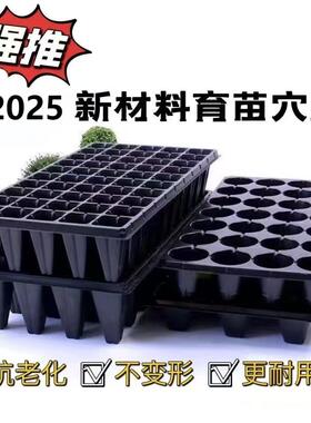 高脚育苗盘草莓月季樱桃林木加深加厚穴盘21孔32孔5072营养育苗杯