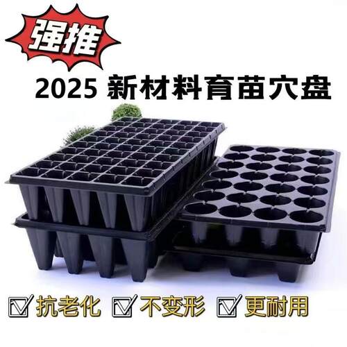 高脚育苗盘草莓月季樱桃林木加深加厚穴盘21孔32孔5072营养育苗杯