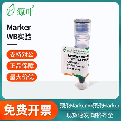 凝胶电泳-Marker预染/非预染Marker彩色预染蛋白质分子量标准