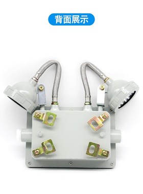 冷库耐低温LED照明应q急两用灯BAJ52双头防爆应急灯充电长明灯螺