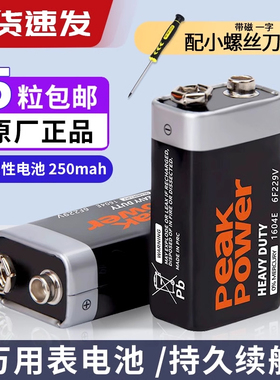 9V电池万用表 测试仪 烟雾报警器 遥控器 音响 玩具 体温枪无线 话筒麦克风扩音遥控6F22 方块电池250mAh
