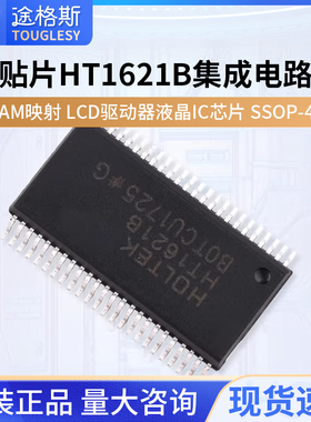 全新 贴片HT1621B SSOP-48 RAM映射 LCD驱动器液晶芯片IC集成电路