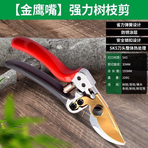 保联剪枝剪刀园林花艺专用修枝剪果树粗大花剪园艺树枝剪子工具