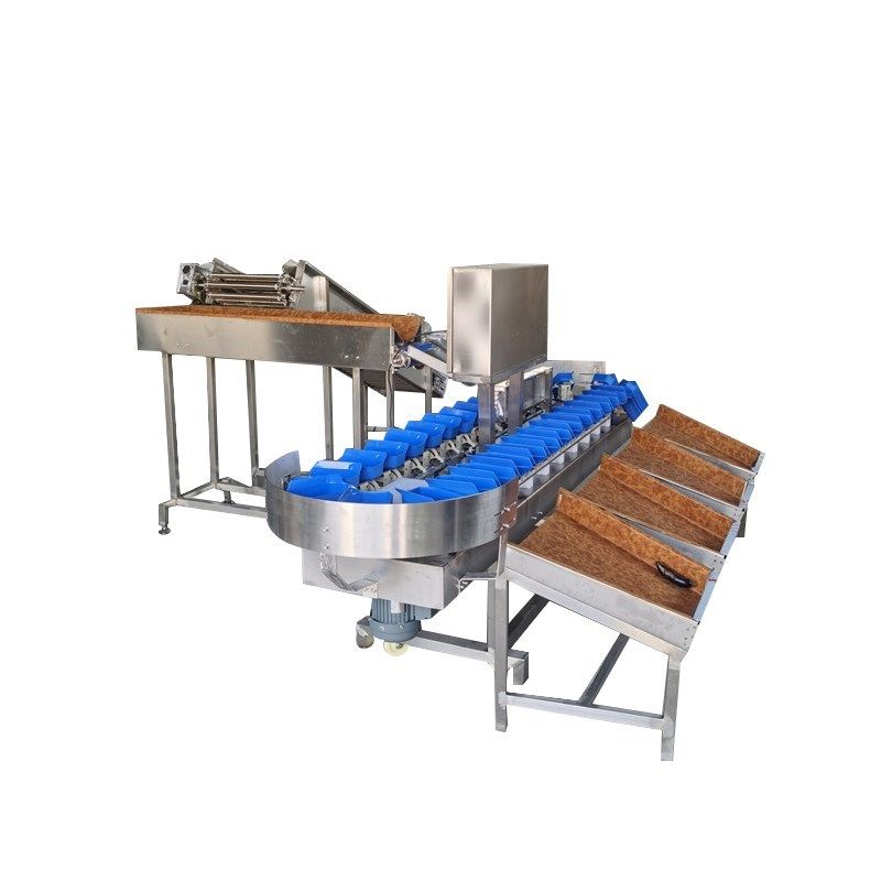 自动重量分选机红薯n土豆分级机猕猴桃水果海鲜称重选果机分拣机,工业油品/胶粘/化学/实验室用品,实验室漏斗,淘宝优惠券,粉丝福利购,淘宝优惠卷