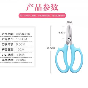 园艺剪枝剪刀修枝剪果树园林工具枝剪刀花剪鲜花绿植玫瑰花艺剪子