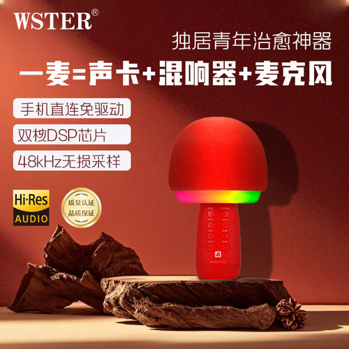 JC-301话筒音响一体式麦克风无线蓝牙儿童全民唱K歌吧家庭电视掌