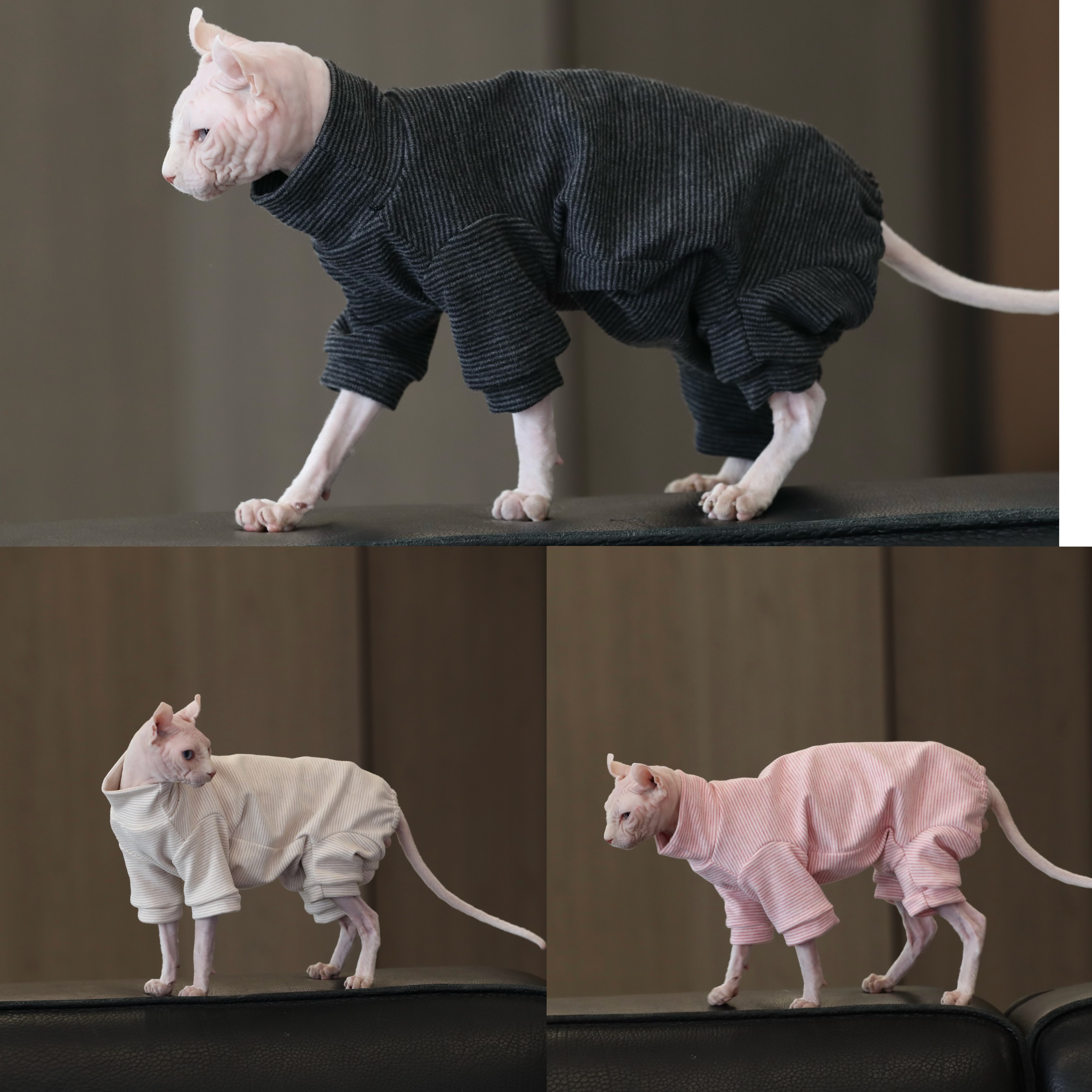 无毛猫护肚加厚内搭 大弹力 秋冬防寒保暖柔软仿羊绒四脚打底衫